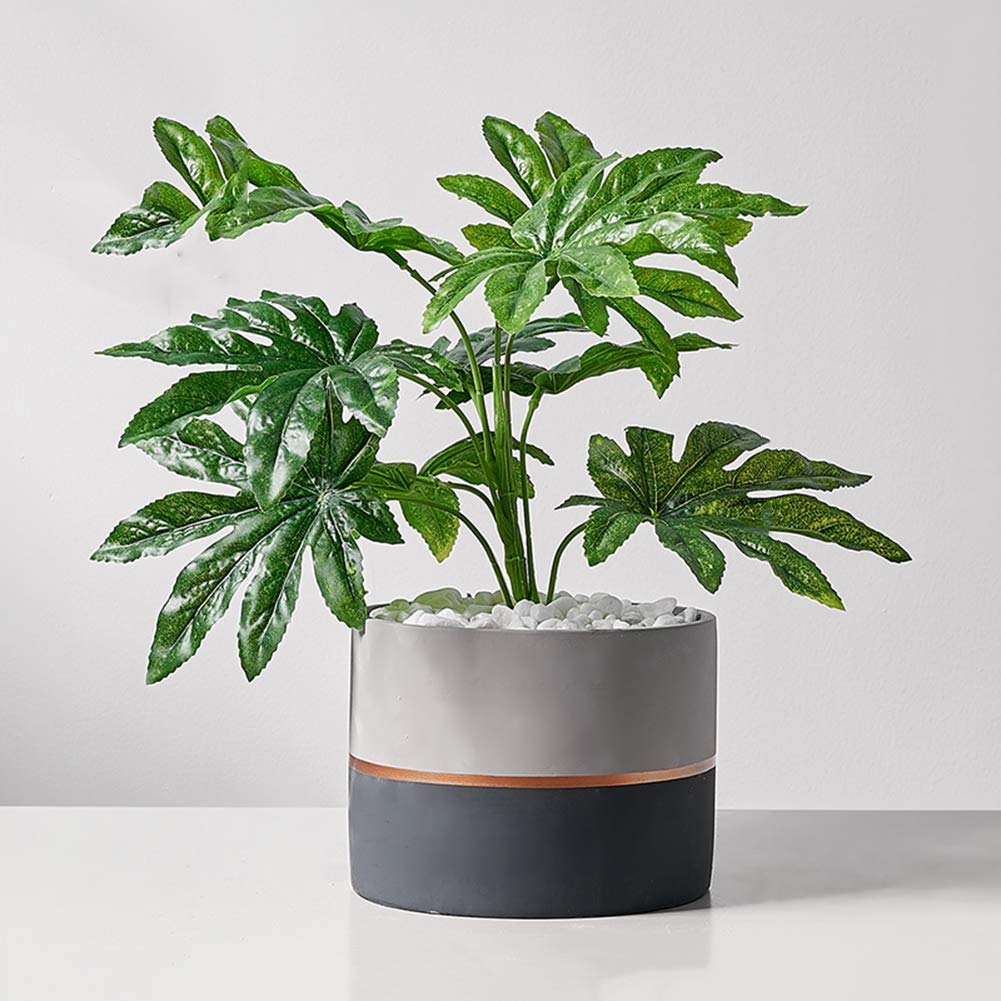 Plante artificielle charnue pour décorer les pièces sans lumière