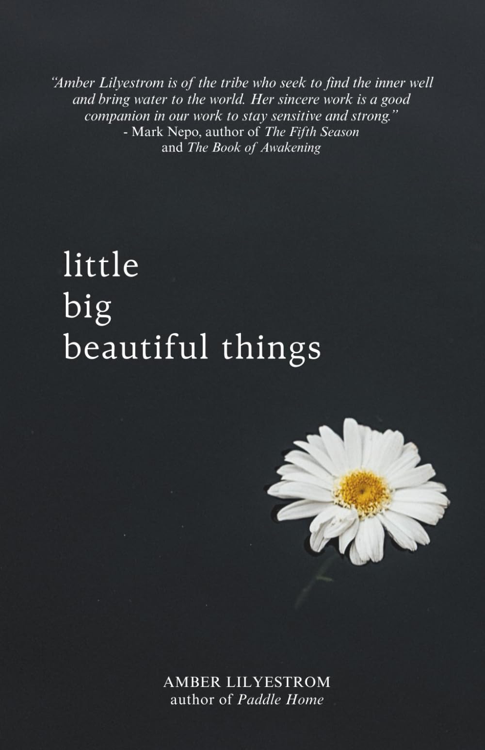 little big beautiful things