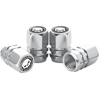 Misuyue Valve Caps Car 4 Pieces Metal Car Valve Cap Silver