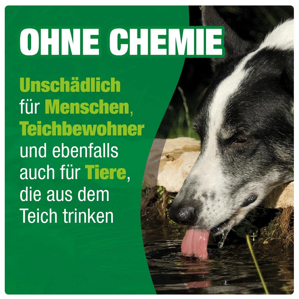 AQUALITY Gartenteich Bio-TeichKlärer 3in1 (Teichklar - Nachhaltig kristallklares Wasser, entfernt deutlich Trübungen im Teich), Inhalt:5 Liter