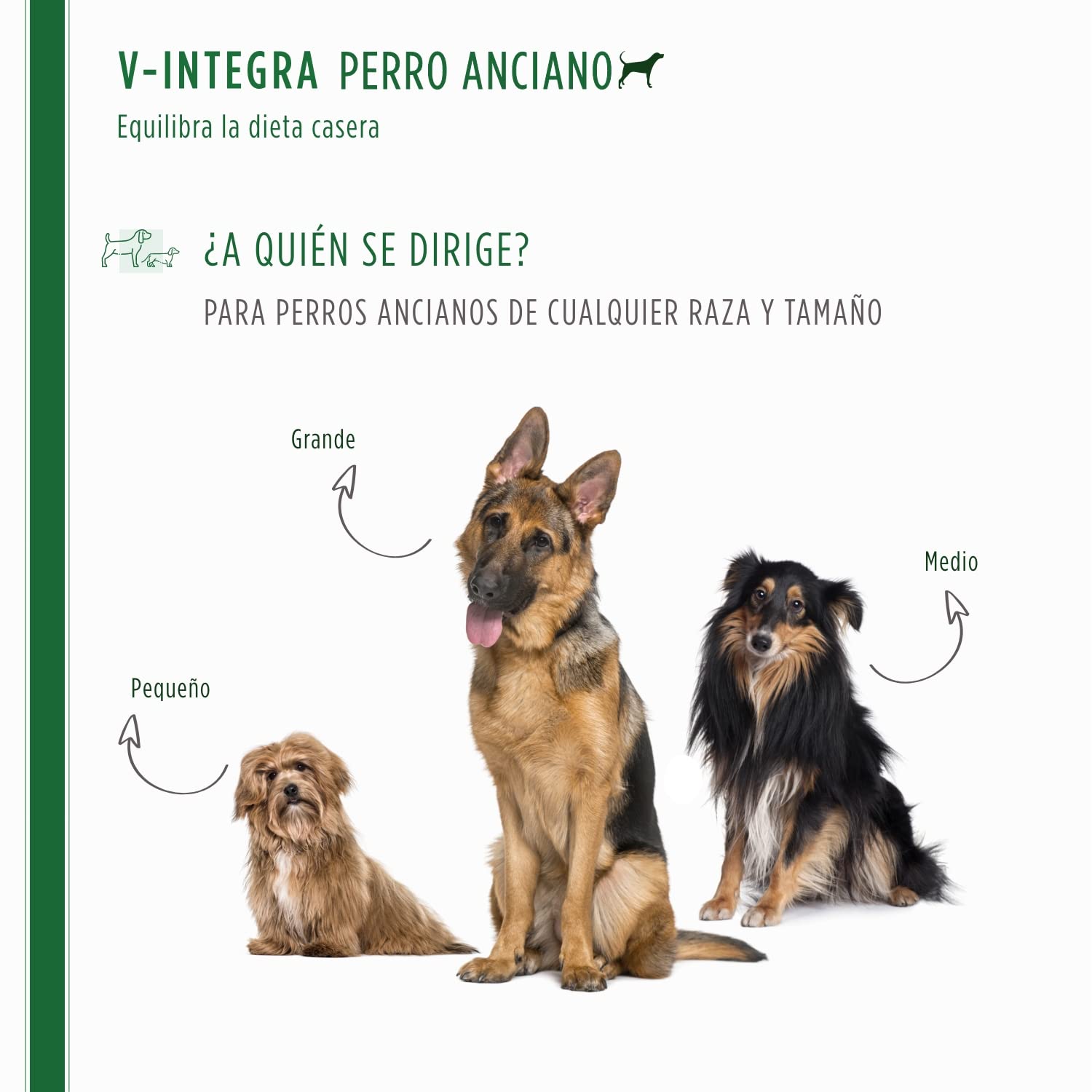 V INTEGRA Perro Anciano 200g, Suplemento Completo Rico en Vitaminas y Minerales para Equilibrar Dieta Casera y Barf, V Integra Vitaminas para Perros, Suplementos para Perros Made in Italy
