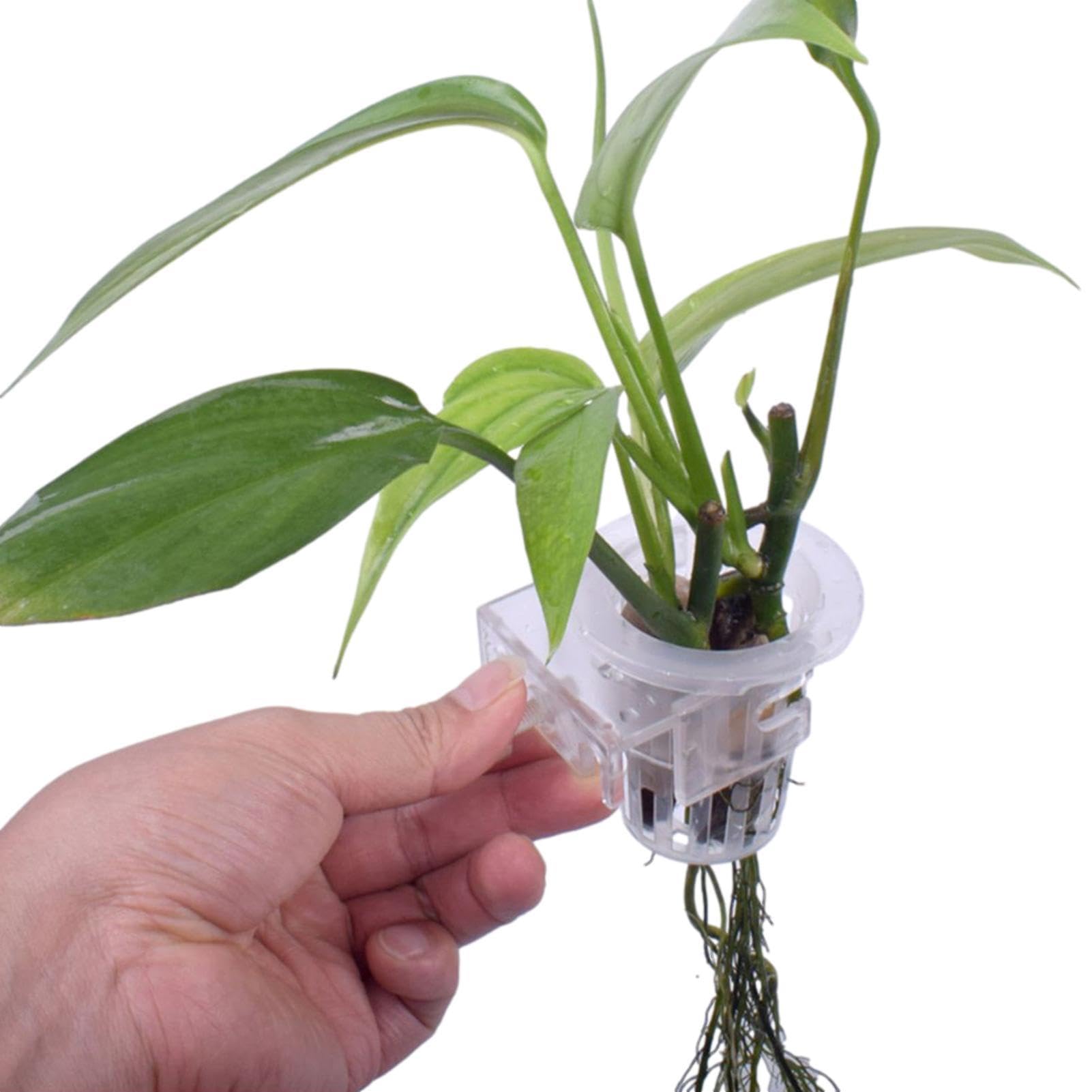 Jaxbo Supporto Per Piante Da Acquario In Plastica – Portapiante Da Appendere Per Acquario Con 5 Fori – Per Piante Vive - 5