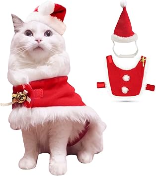 Christmas cat dress Clearance