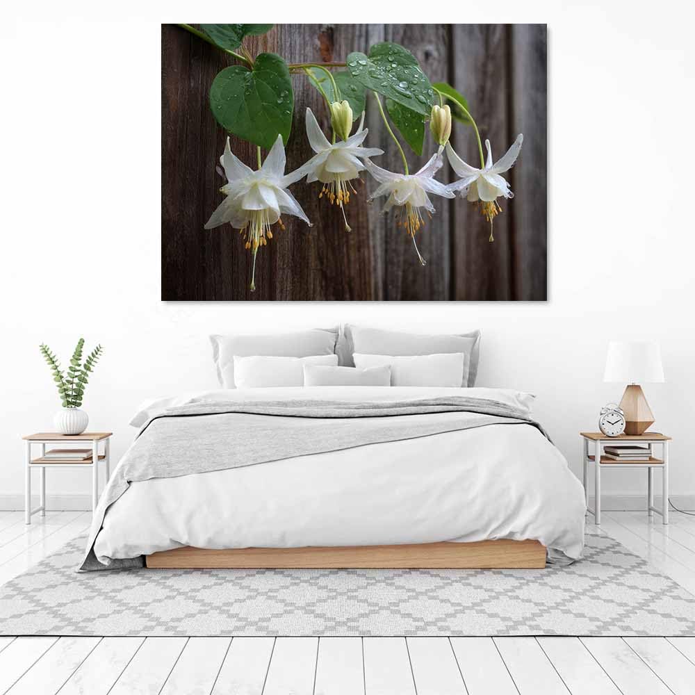 ZAMAEIU Naturalne obrazy krajobrazowe kwitnące globeflowers duże nowoczesne obrazy pejzażowe do salonu, sypialni, łazienki, jadalni (biały)-30x50cm oprawione