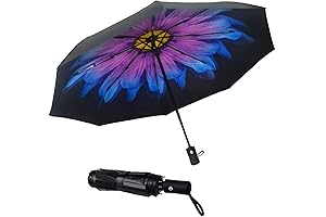 Travel Umbrella: Stand Strong Against the Storm