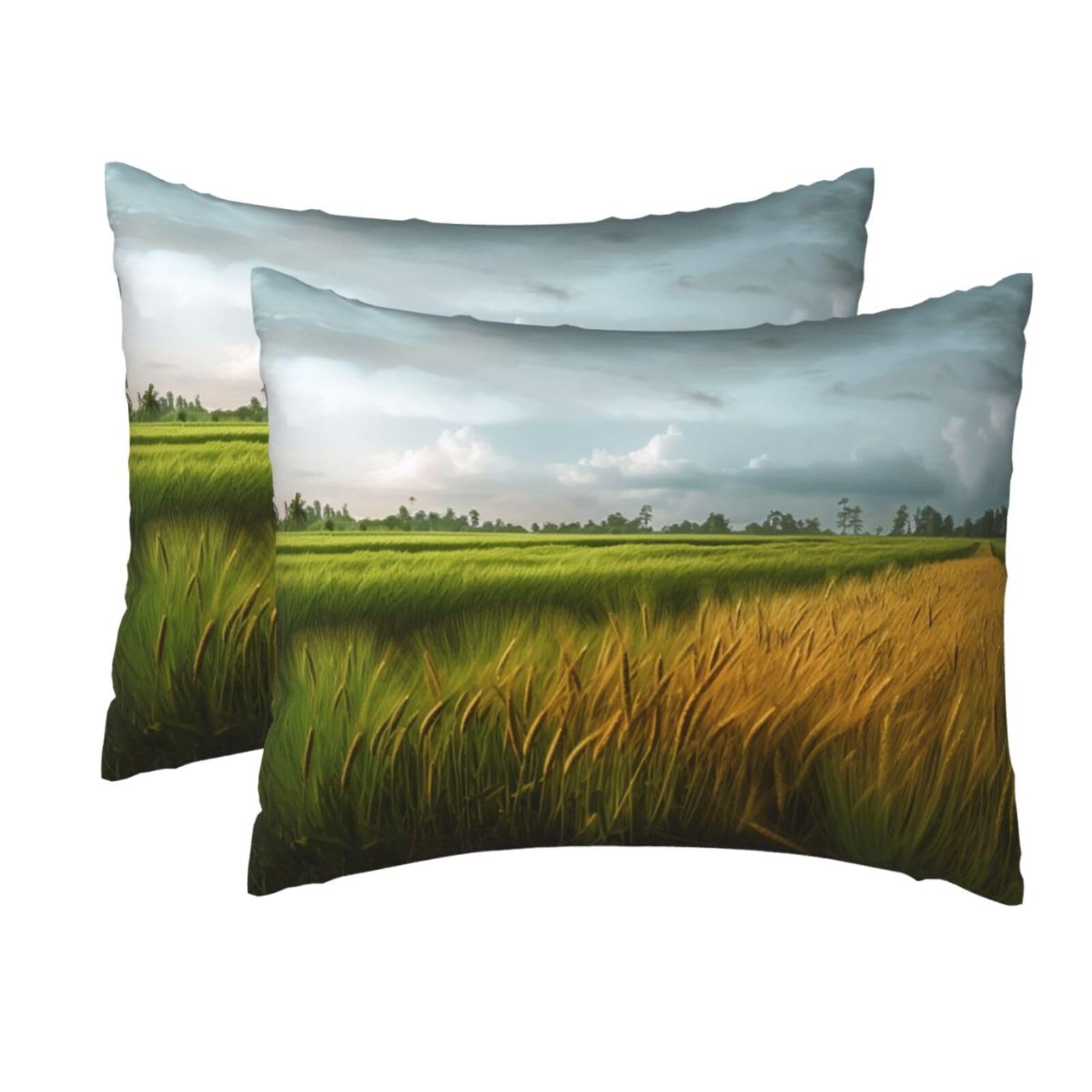 2 Pack Standard Size Pillow Cases for Hair and Skin Soft Breathable Pillow Case Covers with Hidden Zipper Paddy Rice Field Pillowcase 20x26 Inches Pillow Cover for Sleeping Gift