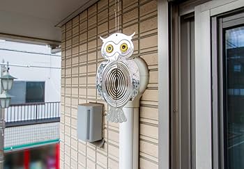 61vw2igcSEL._AC_UF350,