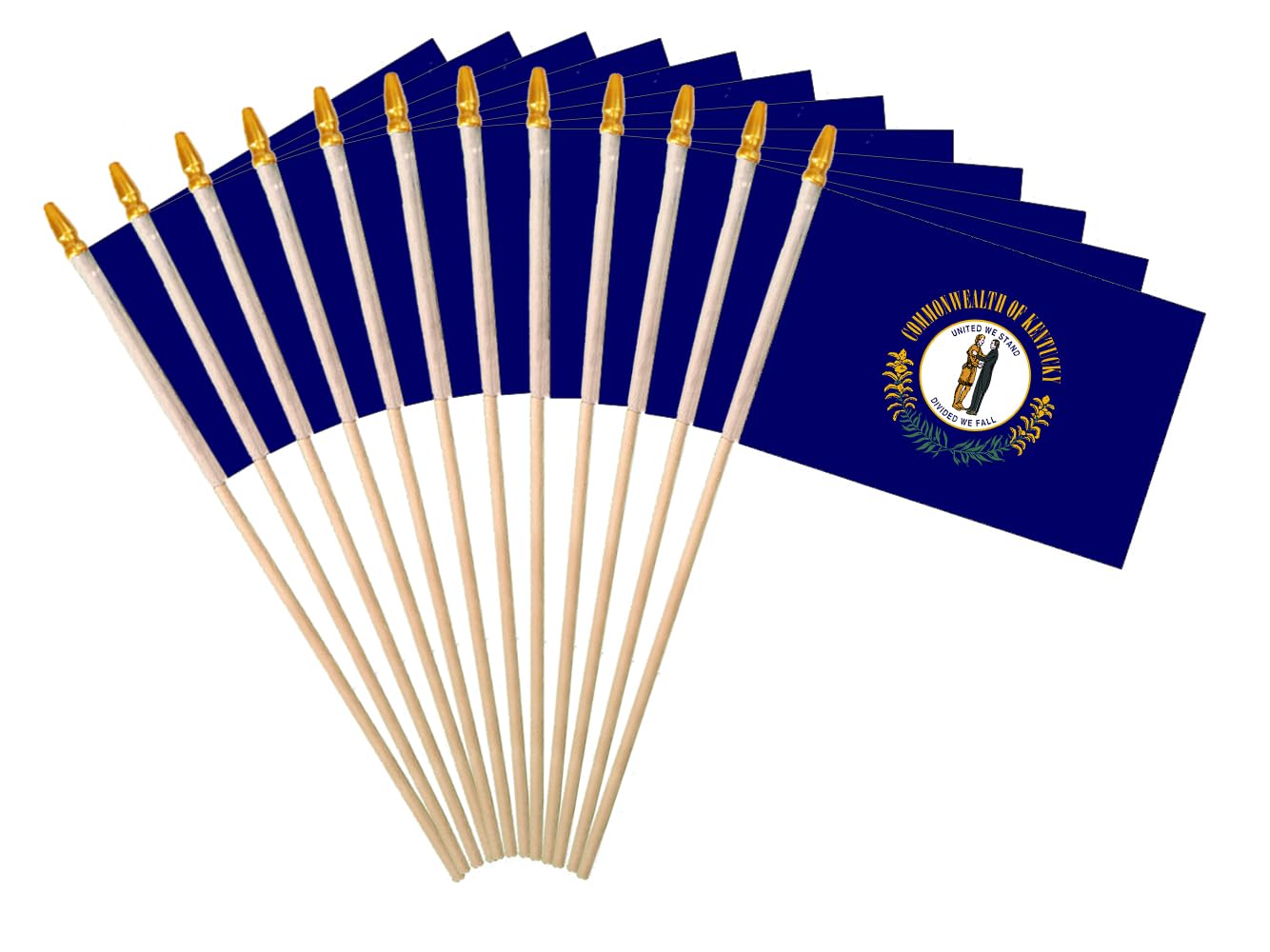 Kentucky State Handheld Stick Flag 6x9 Inch 12 Pack Small Mini KY Flag On Wooden Stick For Patriotic Festival Events Party Decoration(KY, 6x9 In)