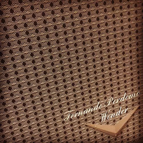  Wonder (Magnatone Version)