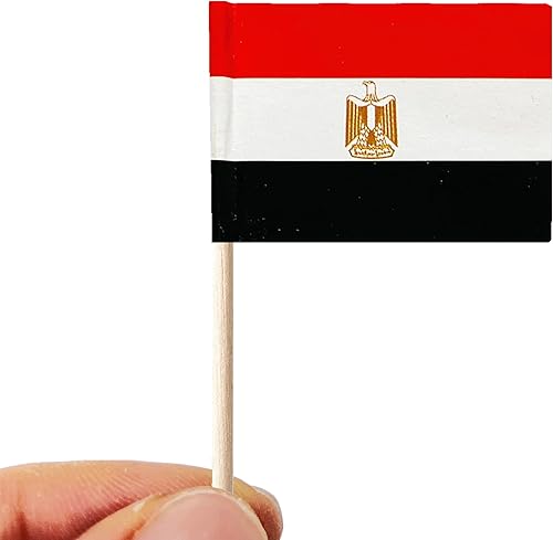 Miniatura 8 de 100 banderas de Singapur palillo de dientes de Singapur, mini adornos pequeños para cupcakes de Singapur, banderas de palo para fiesta, cóctel,