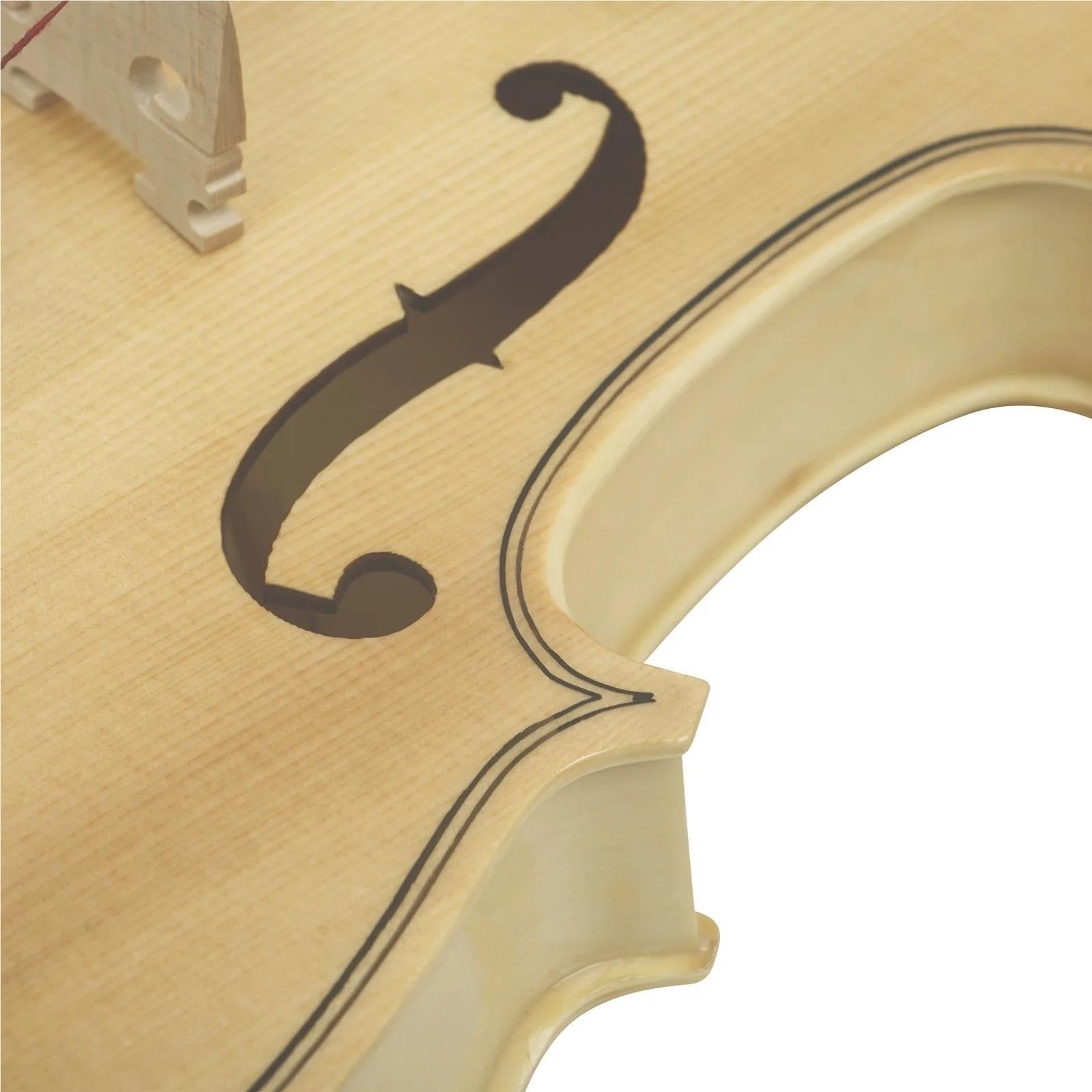 Violini Professionali Violino In Acero Con Tavola Armonica In Abete E Custodia Ergonomica Triangolare Adatto Per Esibizioni Soliste In Studio
