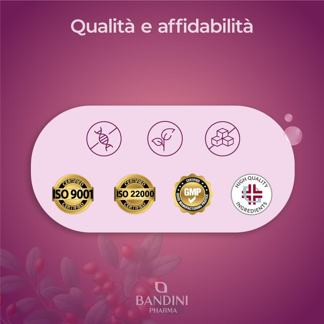 Bandini® Berberina 1000mg pura alto dosaggio | 180 capsule vegane - Berberin HCl da Berberis Aristata al 97% + Cromo e Pepe Nero | Massimo assorbimento - Funzione digestiva, epatica, intestinale