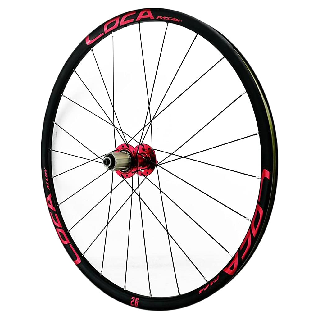ZFF Bicicletta da Montagna Ruote 26/27.5/29 Pollici Freni A Disco Doppio Muro Cerchio MTB Ruote di Montagna Rilascio Rapido per 7/8/9/10/11/12 velocità Cassetta Ruota Libera