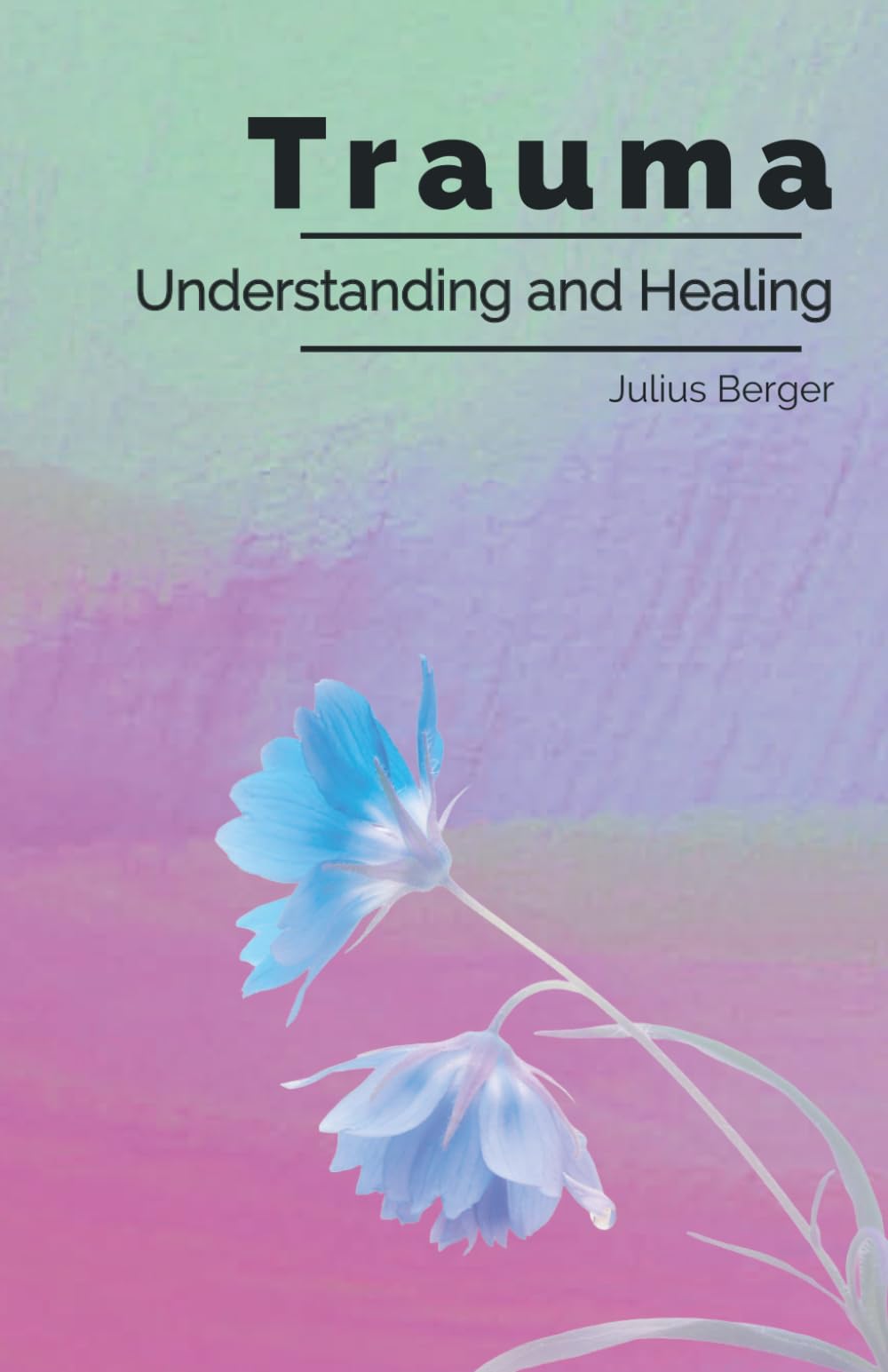 Understanding and Healing Trauma: A Practical Guide to Triggers, Flashbacks, and Calming Your Nervous System to Reclaim Inner Safety