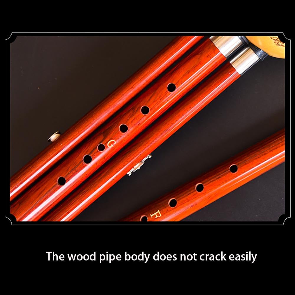 Hulusi Flûte professionnelle en forme de cucurbitacée en bois rouge double ton F+G Touche Bb+C Clé D+C mineure avec nœud chinois