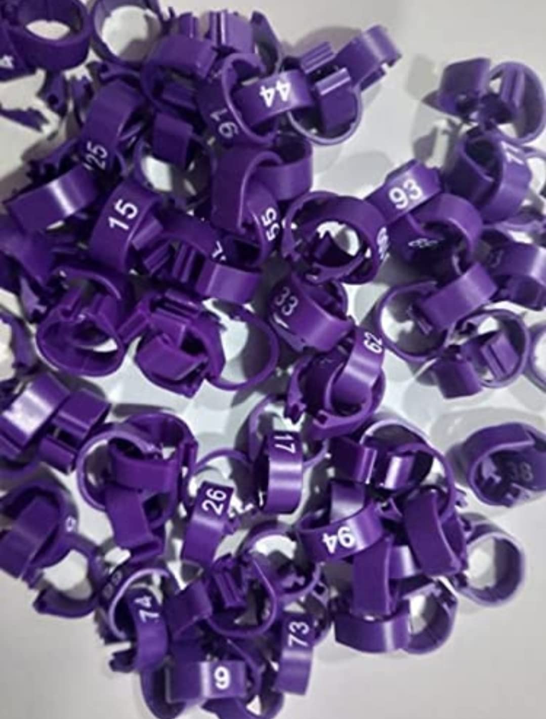 See full amazon price history chart for Acro Pet World Pigeon Leg Plastic Foot Clip Rings Band 8mm 1-100 Serial Number 100PCS for Dove Cocktail Parrot Chick & Other Birds Tags Purpul Color Acro Pet World Pigeon Leg Plastic Foot Clip Rings Band 8mm 1-100 Serial Number 100PCS for Dove Cocktail Parrot Chick & Other Birds Tags Purpul Color (B09RCJ99GS) Amazon Price History, Amazon Price Tracker
