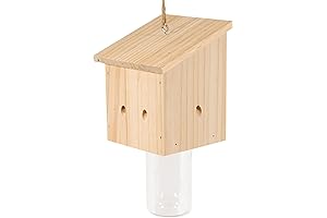 GRTRE Carpenter Bee Trap for Outside