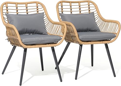 JOIVI Juego de 2 sillas de mimbre para exteriores, sillas de comedor de ratán para patio con cojines y reposabrazos para césped exterior, balcón,