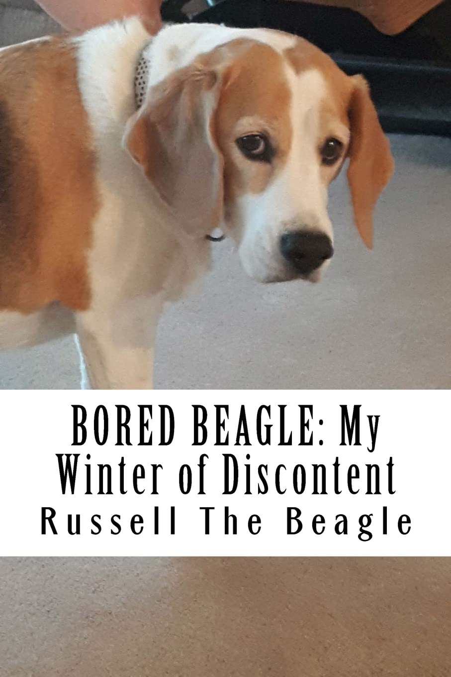 Bored Beagle: My Winter of Discontent: Volume 1