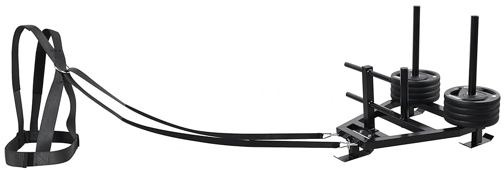 Amazon | KETTLEBELLKON（ケトルベル魂）パワースレッドPRO