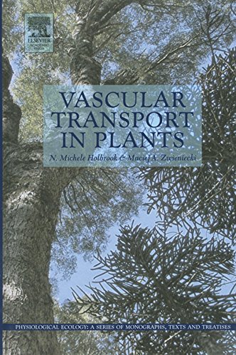 Vascular Transport in Plants (Physiological Ecology)