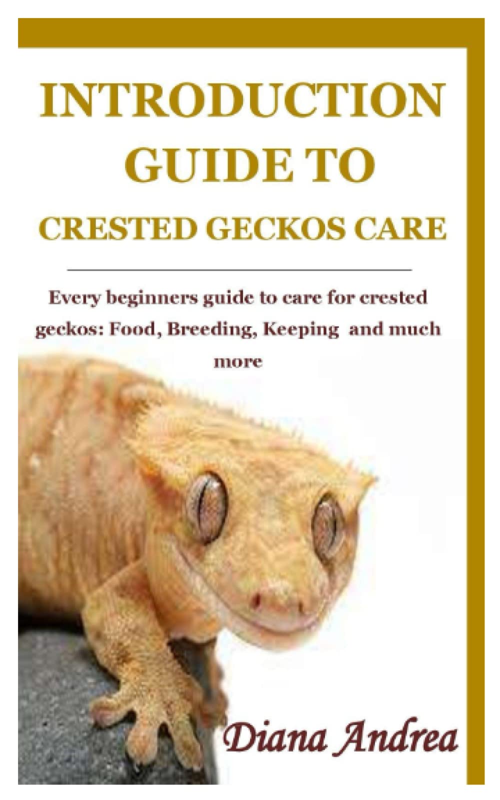 Buy INTRODUCTION GUIDE TO CRESTED GECKOS CARE: Every beginners guide to ...