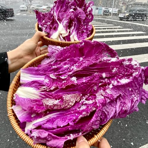 Semillas de col china - col china - variedades antiguas de col china en resistentes, trepadoras 400pcs