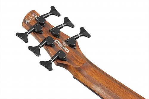 Miniatura 8 de Ibanez Standard SR606E Bajo - Cosmic Blue Starburst Flat