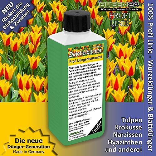 GREEN24 Amaryllis-Dünger Flüssigdünger – HIGHTECH Nährstoffkonzentrat Für Die Zeit Ohne Blüten, 250 Ml