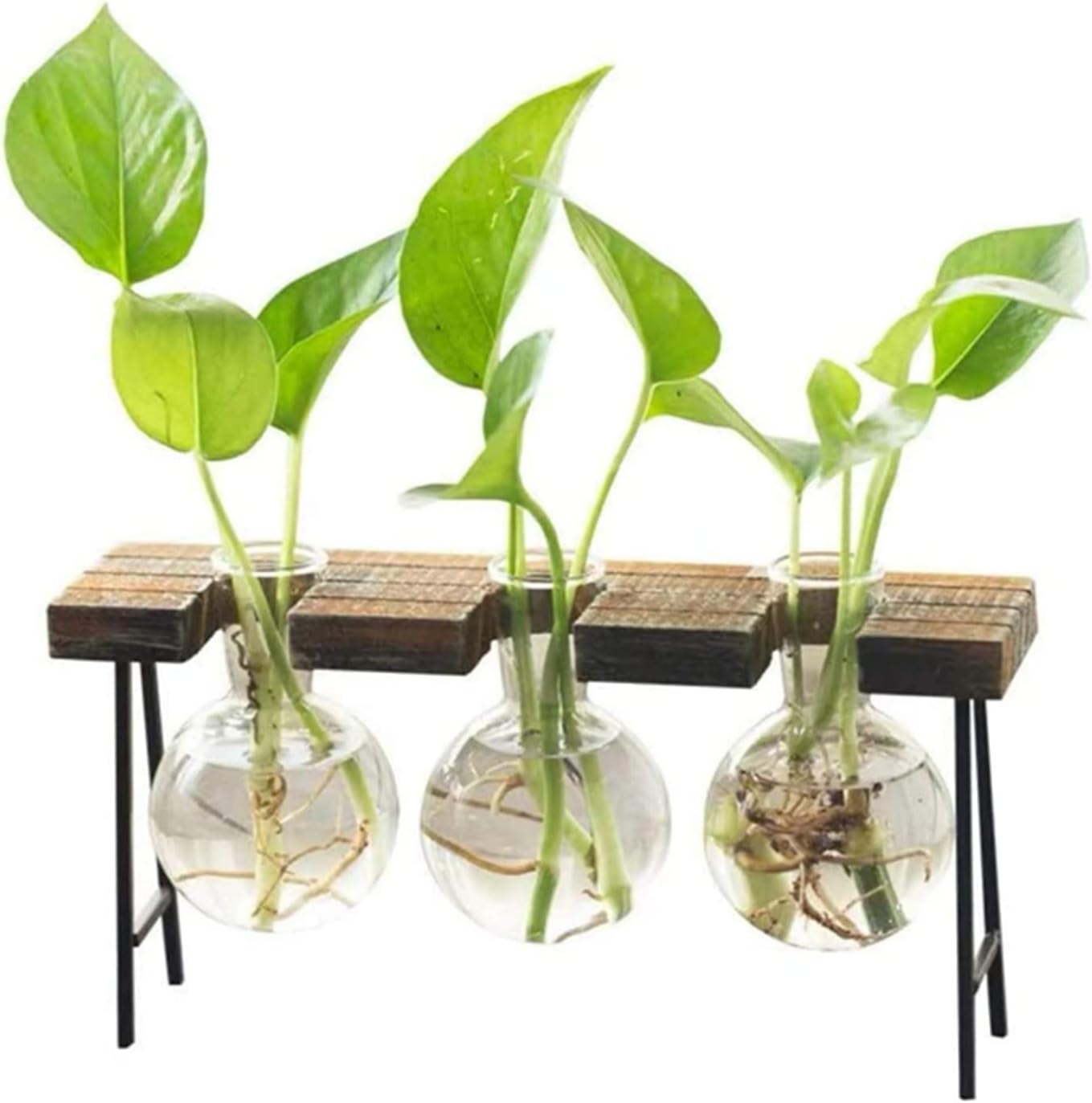 SKEIDO Air Plant Terrarium Desktop Glass Planter Bulb Glass Vase with Wooden Stand Propagation Station for Hydroponics Plants Home Office Garden Decor (3 bottles)