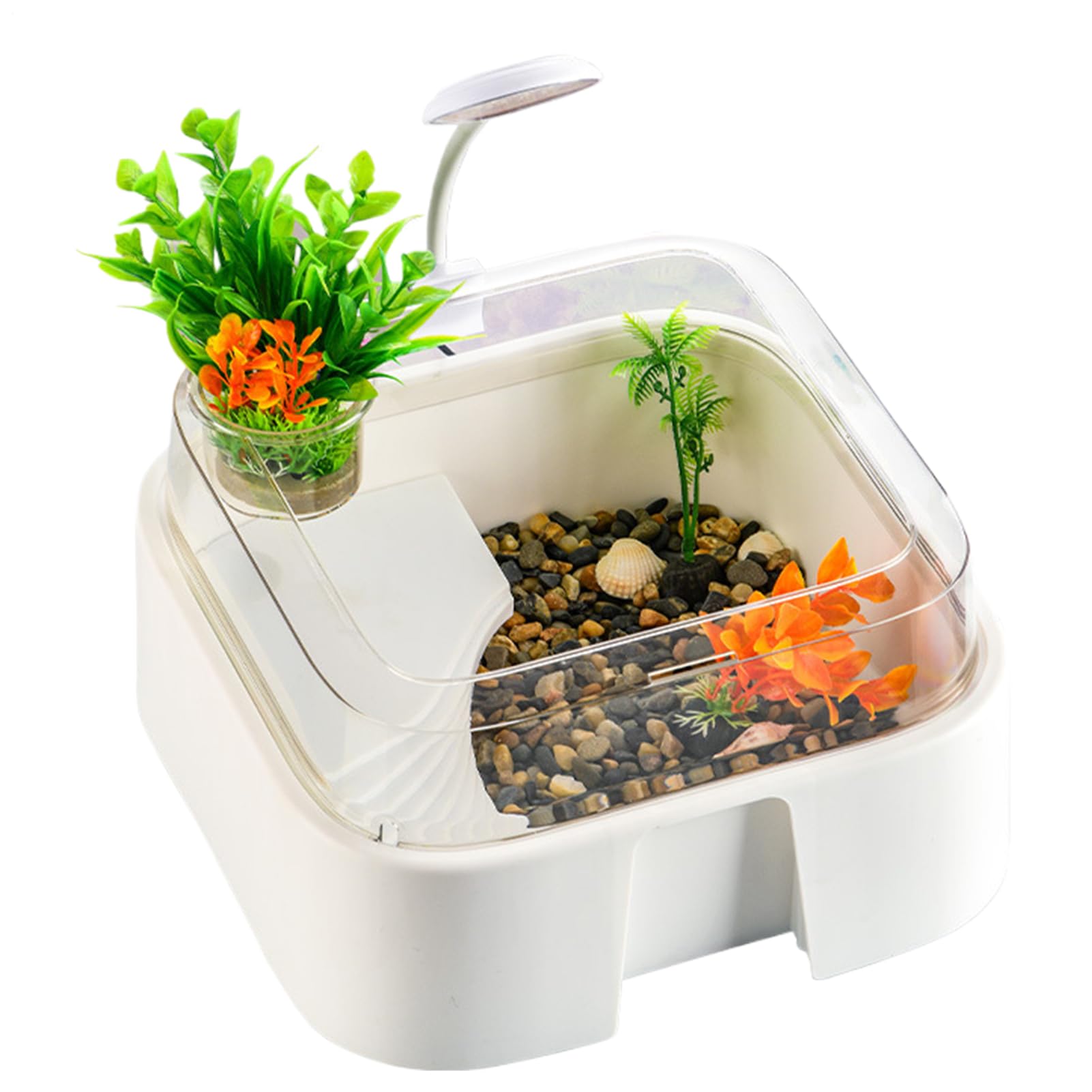 Terrarium Dla Żółwi Terrarium Dla Gadów Z Dekoracjami | Akwarium Wodne I Terrarium Dla Gadów Do Wnętrz Dom Biuro Ryba Agama Błazenek