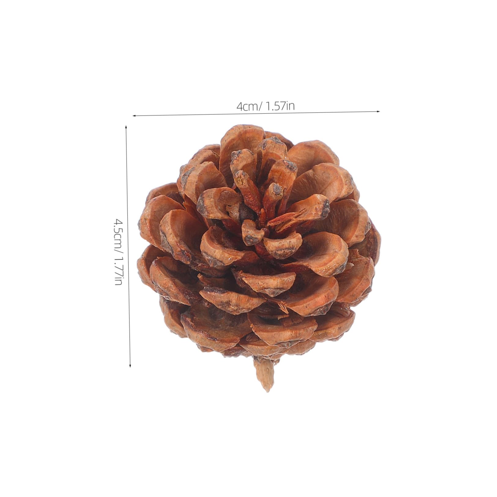 ERINGOGO 130 Pezzi Pigne Piccole Naturali per Decorazioni Natalizie e Autunnali, Riempitivo per Vaso in Pigne di Pino 3-4cm, Perfette per Decorazioni Fai da Te in Inverno e Ringraziamento
