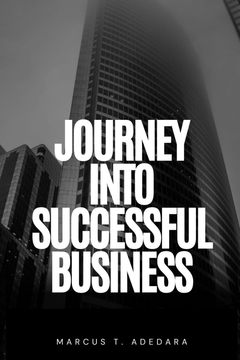 Journey into Successful Business || Unlocking Prosperity: Strategies for Thriving in the Business World: Empower Your Enterprise: From Startup to Stardom || From Concept to Crown: Leading Strategies