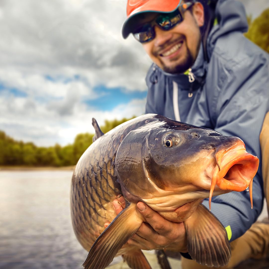 Fischzeux Karpfen Set komplett Carp Pro – Angelset 2 Karpfenruten mit 2 Rollen