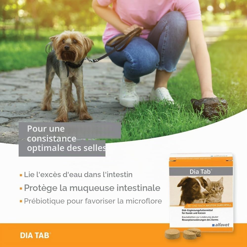 alfavet Dia Tab, complément Alimentaire diététique pour Chiens et Chats, comprimés à mâcher Contre la diarrhée et Les vomissements, 60 x 5,5 g