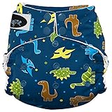 Imagine Baby Products Stay Dry All-In-One Snap Diaper, Rawr