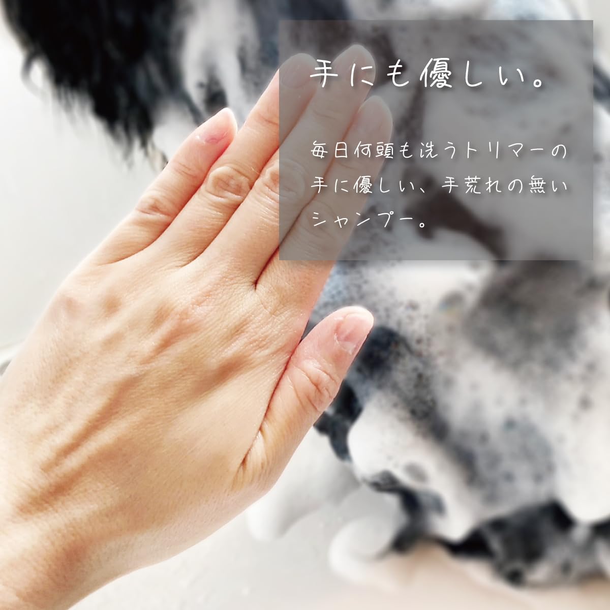 Amazon | 【アジル】オイリーコントロールシャンプー（犬・猫用）低