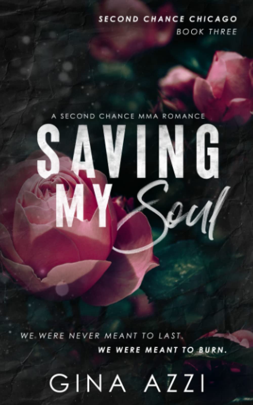 Saving My Soul: A Second Chance MMA Romance: 3 (Second Chance Chicago Series)