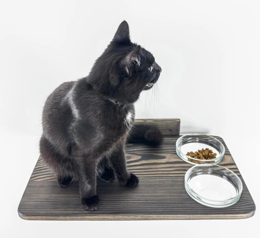 Feeder, Wall-Mounted Feeding Station, Wooden Shelves, Wall Cat Feeding Shelf for 2 Cat Food Bowls, Easy to Install, 19.2"x12" (Natural)