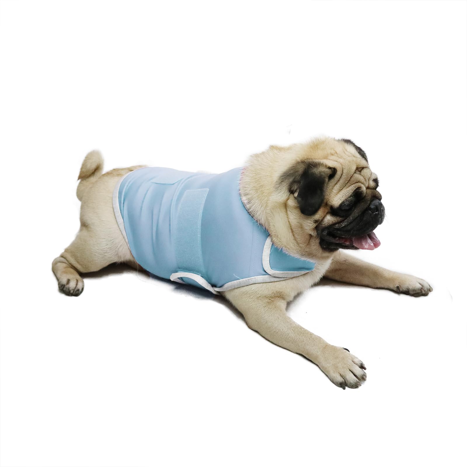 Dog Anxiety Relief Vest - Breathable Calming Coat for Thunderstorms, Travel, Fireworks &amp; Vet Visits (M, Light Blue)