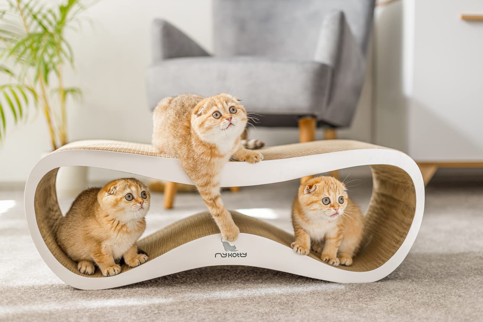 Griffoir pour Chats Carton Ondulé Herbe à Chat Lui MYKOTTY Blanc 75 x 26 x 25 cm Produit Européen Grattoir Chat
