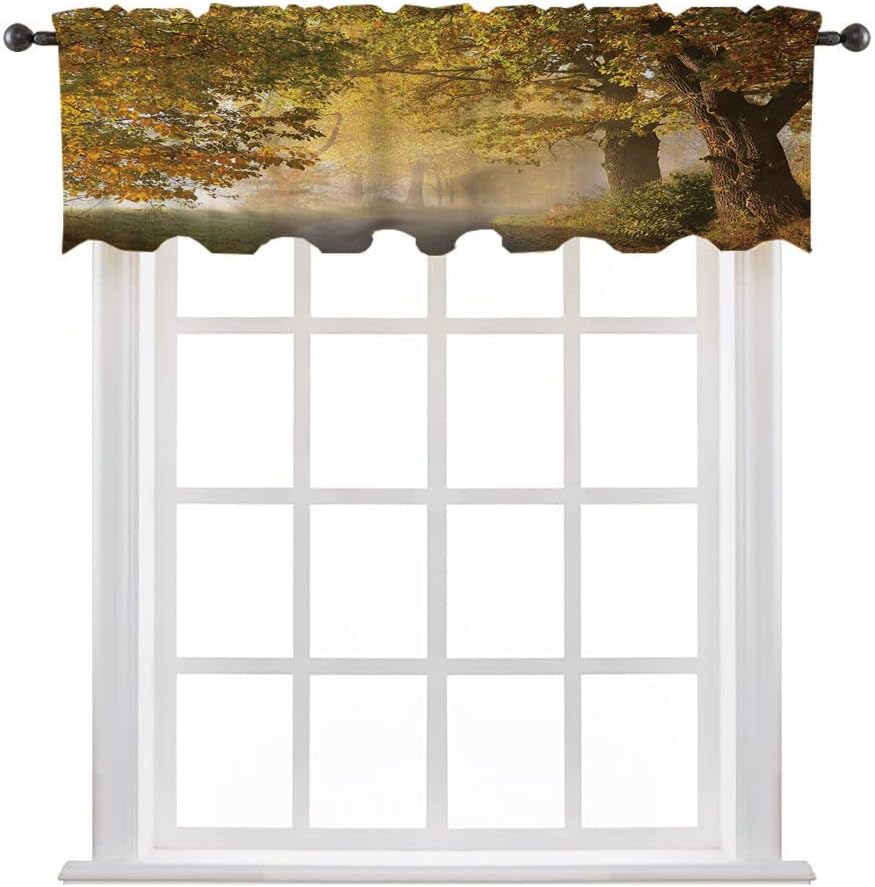 Valance, Woodland Decor Window Curtain, Birch Trees in The Forest Summertime Nature, 60" W x 18" L, Bedroom Bathroom Living Room Dining Room, White Green