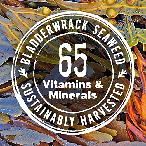 The Seaweed Bath Co. Whole Seaweed Detox Bath, Natural Organic Bladderwrack Seaweed, Non-Gmo Verified, Vegan, 2.5 Oz. #TOP4