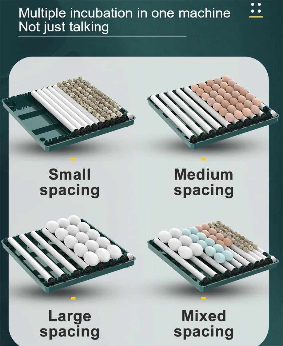 Incubadora Huevos Gallina, Incubadora Automática de 16-24 Huevos, Incubadora Totalmente Automática con Control de Temperatura, Indicador de Humedad, Volteador Automático de huevos -Verde(24 Huevos)