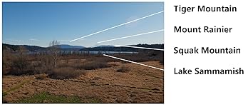 Review Image by Mr Prime