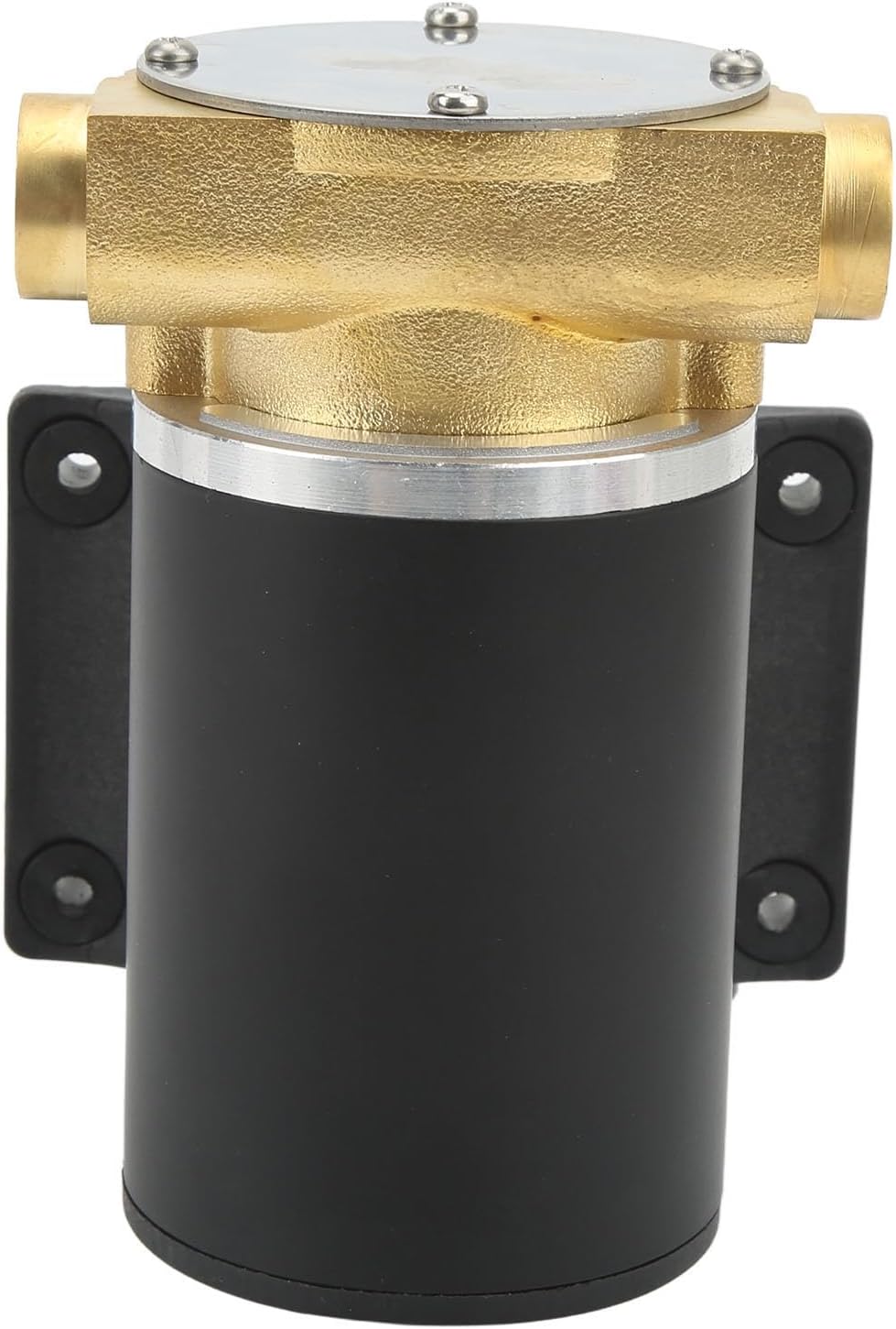 Self Priming Impeller Bilge Pump Self Priming Transport Seawater Pump Pump Home Pump Household for Liquid Sewage Flexible Impeller Pumps (12V)