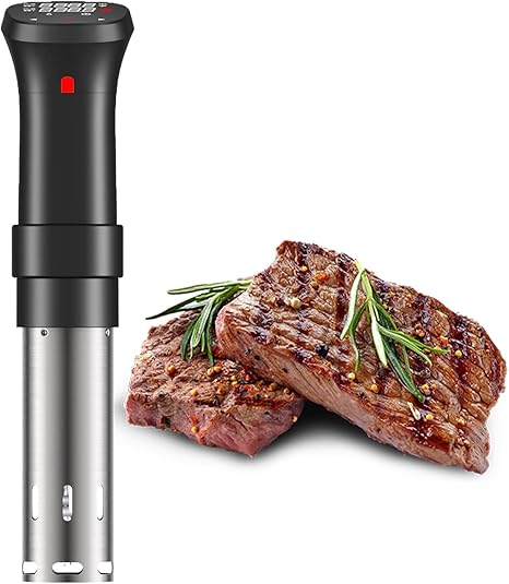 sous vide circulator amazon