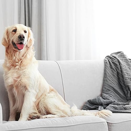 Miniatura 4 de Enforcer BugMax Home Control de plagas - EBM128 (caja de 4) - Mata cucarachas, hormigas, pulgas, garrapatas, termitas, hormigas carpinteras, arañas