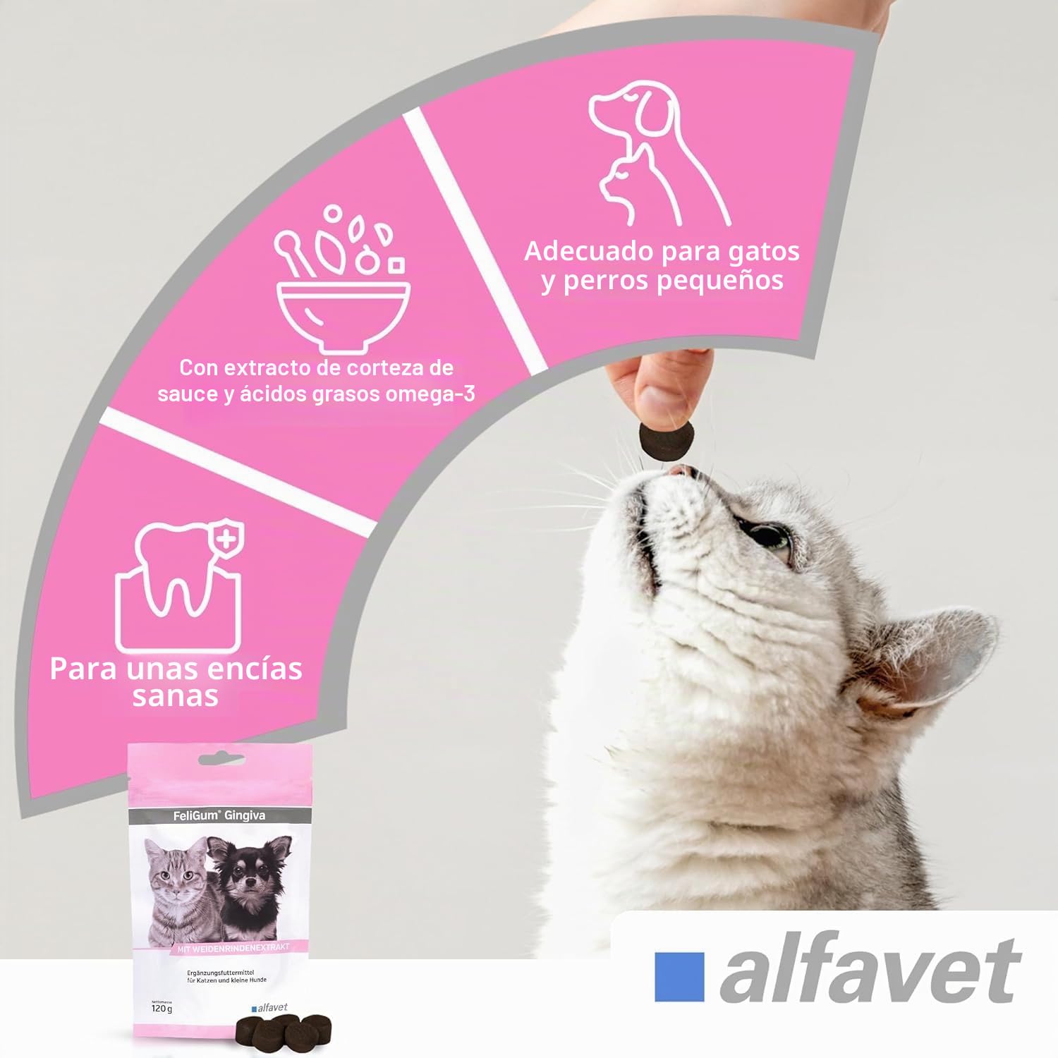 Alfavet FeliGum Gingiva - alimento complementario para Perros y Gatos - Ayuda a la inflamación de encías y Boca - Pastillas masticables - 2 x 120g