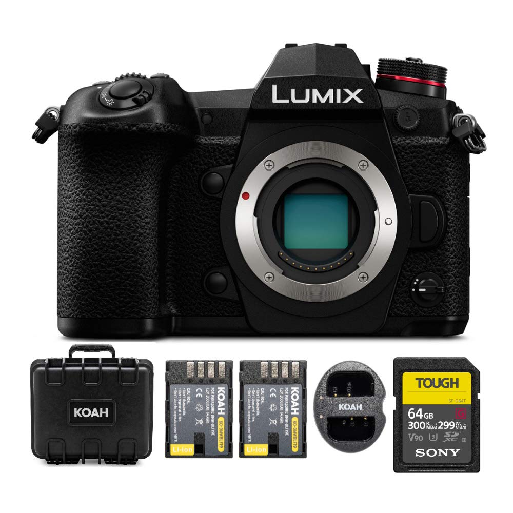 Panasonic Lumix Mirrorless Micro 4/3 Digital Camera (Body) Bundle with Accessory Kit (4 Items)